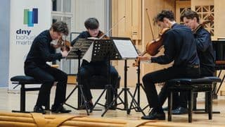 Veselská ozvěna 2024 - Siebeneichener Quartett  