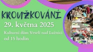 Kroužkování s DDM 2025